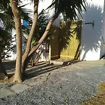 Anna's * 갈리니